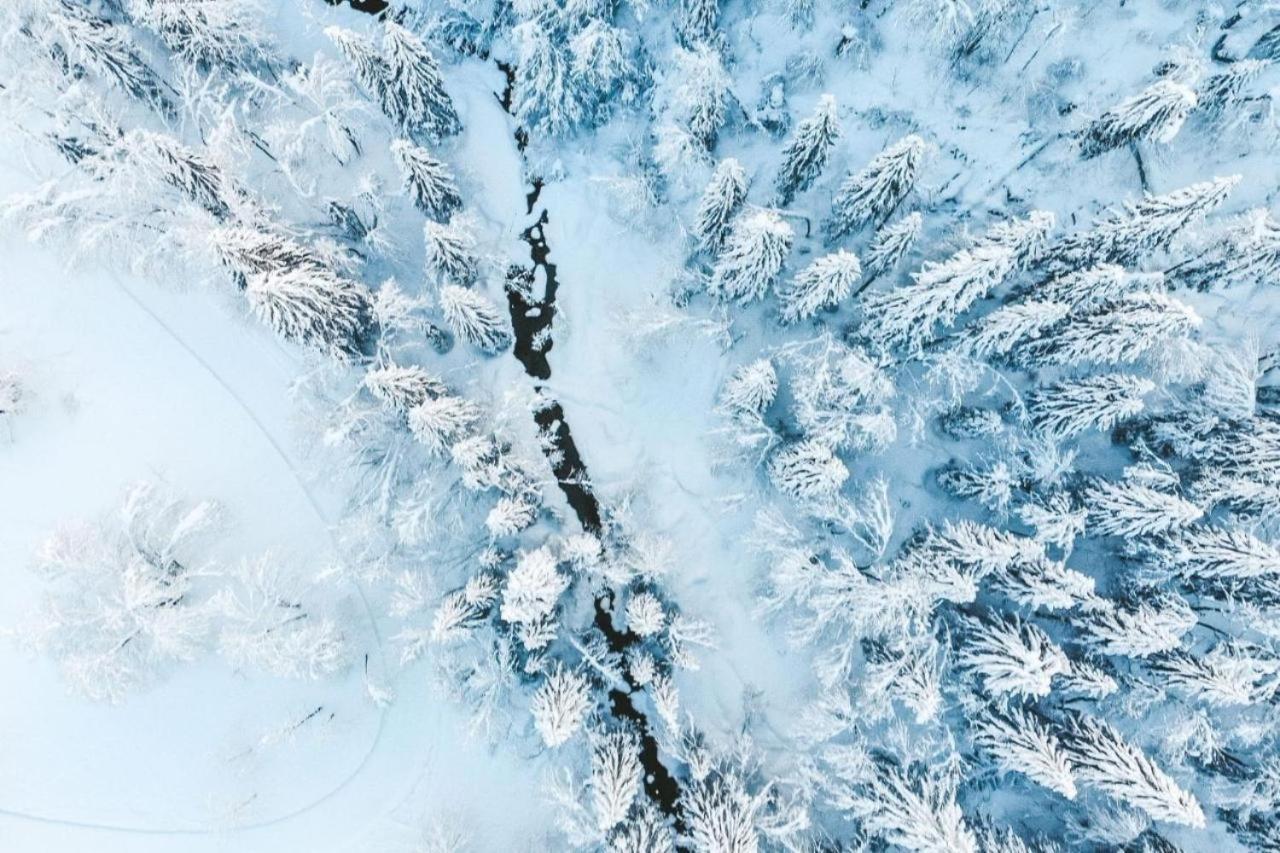 Bel Air - Proprietes Mont Amour Montriond Εξωτερικό φωτογραφία